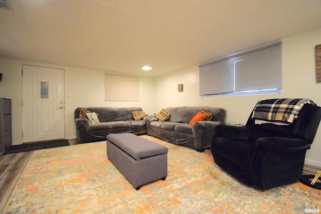 2704 Jamison Blvd, Mount Vernon, IL 62864 - living room featuring wood finished floors
