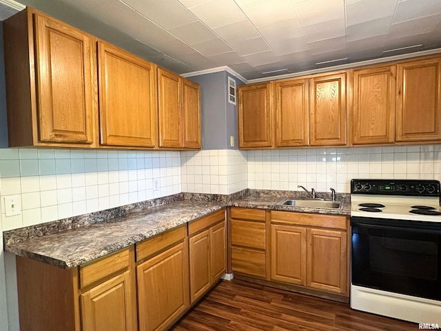 504 S James St, Carbondale, IL 62901 - kitchen featuring electric range oven, a sink, backsplash, and dark countertops