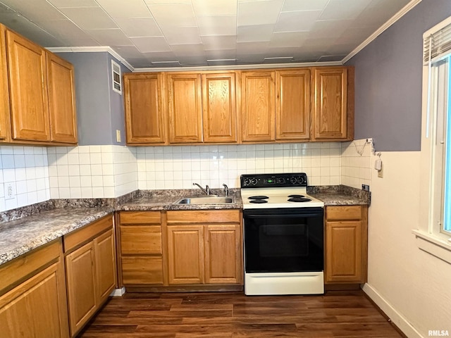 504 S James St, Carbondale, IL 62901 - kitchen with electric stove, a sink, dark wood-style flooring, crown molding, and brown cabinets