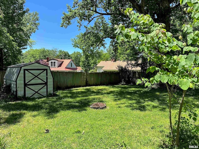 504 S James St, Carbondale, IL 62901 - view of yard