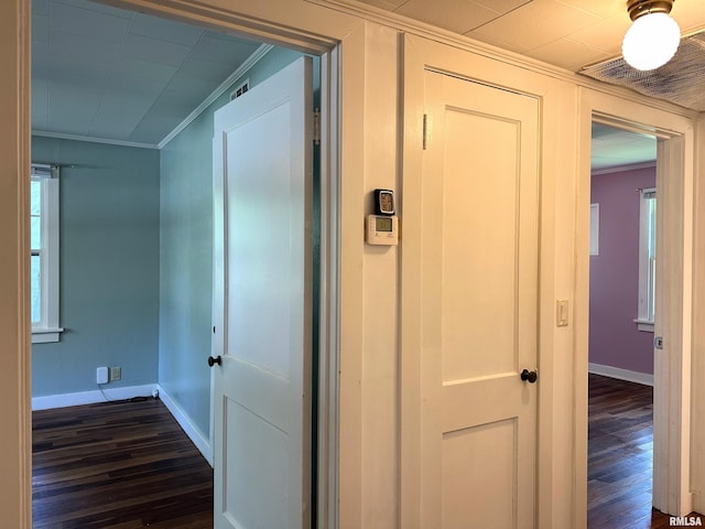504 S James St, Carbondale, IL 62901 - hall featuring dark wood-style floors, ornamental molding, and baseboards