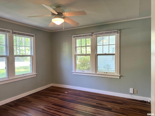 504 S James St, Carbondale, IL 62901 - spare room with plenty of natural light, dark wood-style floors, crown molding, baseboards, and ceiling fan