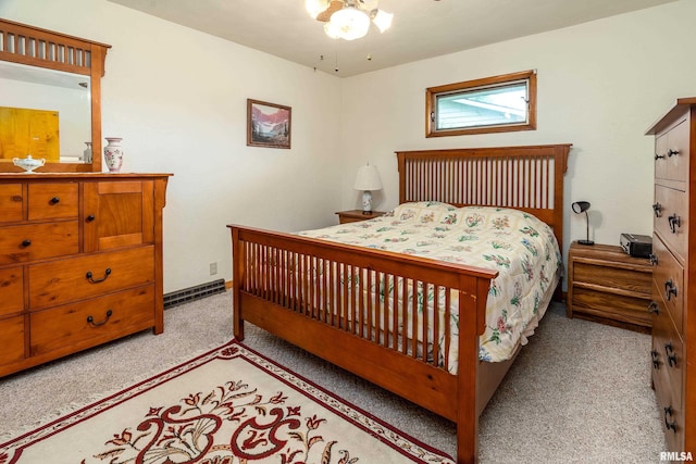1016 S Giant City Rd, Carbondale, IL 62901 - photo 24