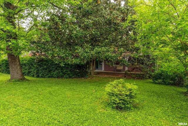 1016 S Giant City Rd, Carbondale, IL 62901 - photo 42