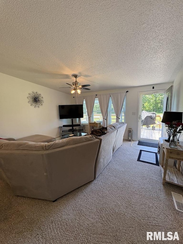 17227 Number 9 Blacktop Blacktop, West Frankfort, IL 62896 - living area with a textured ceiling, carpet flooring, ceiling fan, and healthy amount of natural light