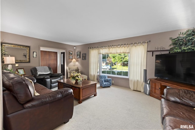 49 Jon St, Metropolis, IL 62960 - living room with carpet
