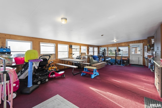 49 Jon St, Metropolis, IL 62960 - exercise room with plenty of natural light, carpet floors, and wooden walls