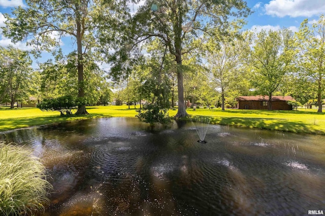 415 E Reichert Dr, Marion, IL 62959 - water view featuring a tree filled landscape