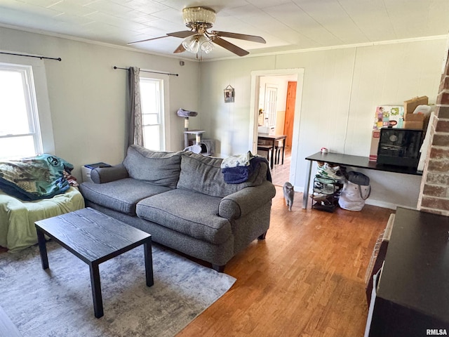 135 Walnut St, Alto Pass, IL 62905 - living room with ornamental molding, ceiling fan, and wood finished floors
