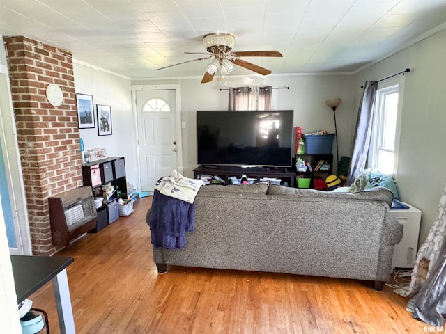 135 Walnut St, Alto Pass, IL 62905 - living area featuring ceiling fan, light wood-type flooring, and crown molding