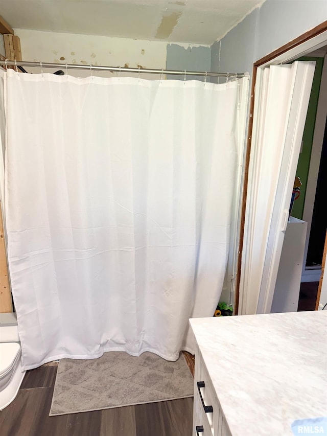 135 Walnut St, Alto Pass, IL 62905 - bathroom featuring wood finished floors, vanity, toilet, and a shower with curtain
