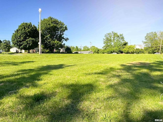 135 Walnut St, Alto Pass, IL 62905 - view of green lawn
