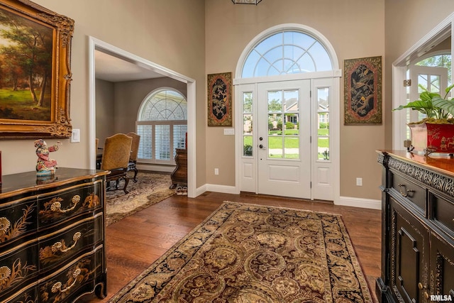1302 Collins Ln, Marion, IL 62959 - foyer featuring dark wood-style floors, healthy amount of natural light, baseboards, and a high ceiling
