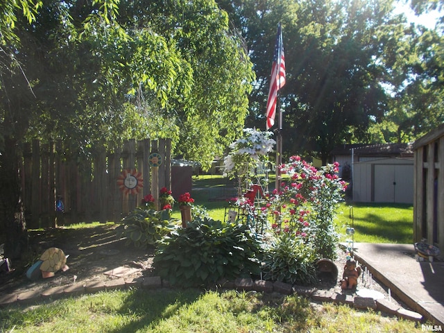 512 S Garfield St, Steeleville, IL 62288 - view of yard