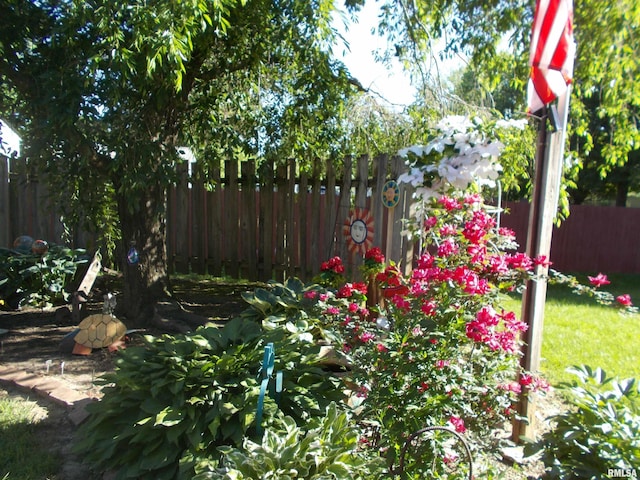 512 S Garfield St, Steeleville, IL 62288 - view of yard