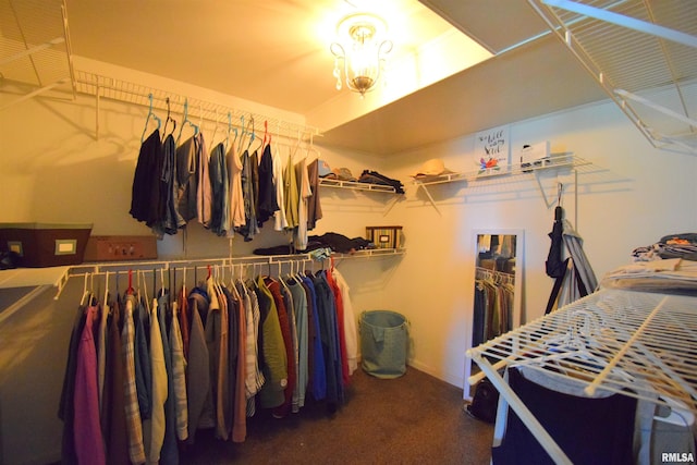 3100 Mulberry Ave, Mount Vernon, IL 62864 - spacious closet with carpet floors