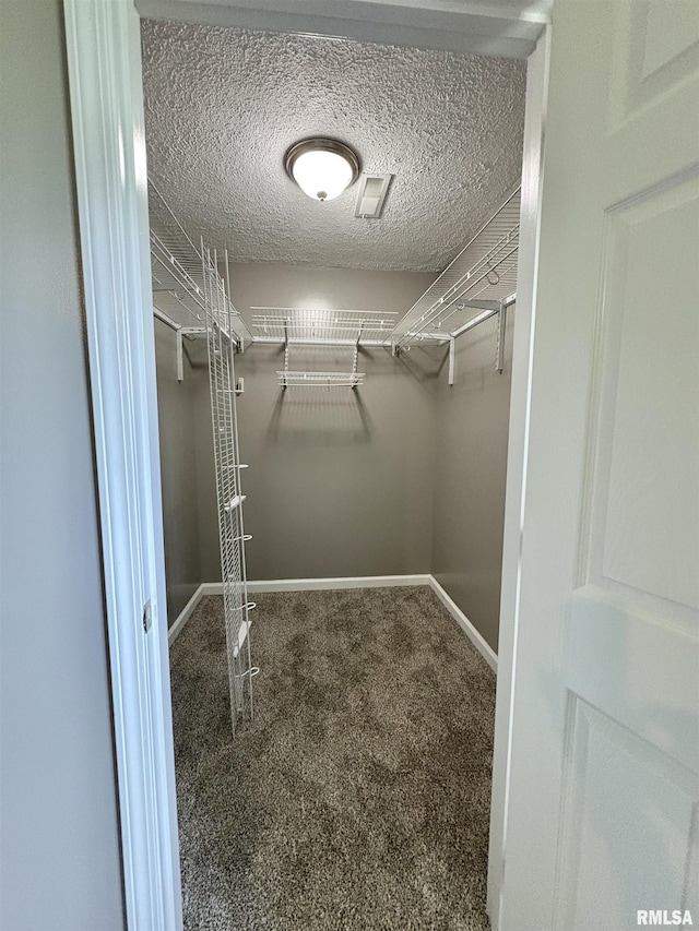 910 Fairlane Dr, Marion, IL 62959 - spacious closet with carpet