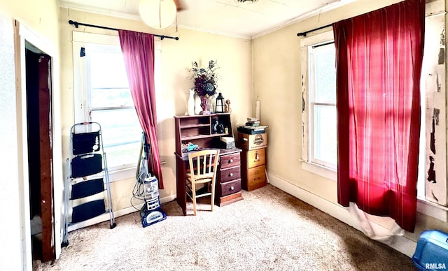 1105 N Maple St, Carterville, IL 62918 - office with ornamental molding