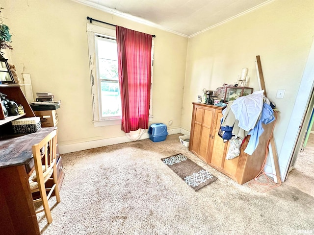 1105 N Maple St, Carterville, IL 62918 - misc room with carpet floors, ornamental molding, and baseboards