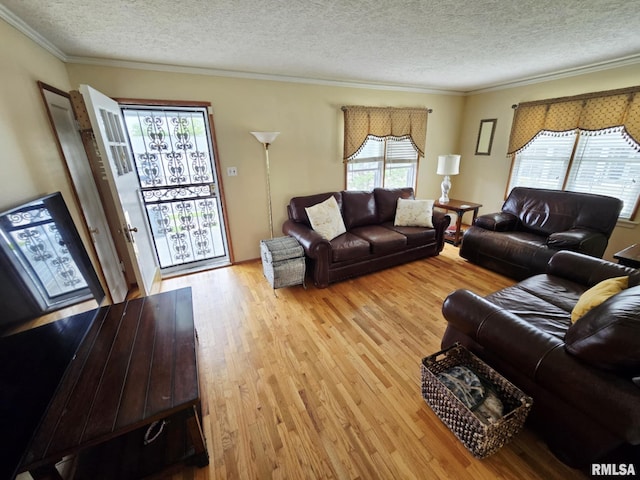 112 W Main St, Mcleansboro, IL 62859 - living room with wood finished floors, a textured ceiling, and crown molding