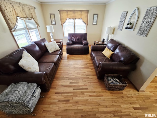 112 W Main St, Mcleansboro, IL 62859 - living area with ornamental molding and light wood finished floors