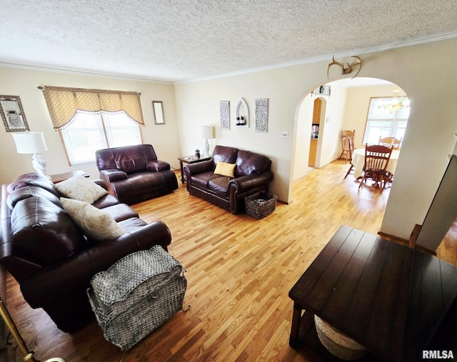 112 W Main St, Mcleansboro, IL 62859 - living room with arched walkways, light wood-style flooring, plenty of natural light, crown molding, and a textured ceiling