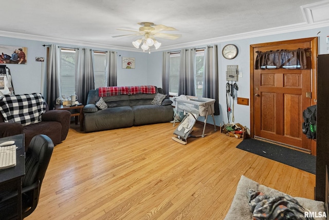 203 E 2nd St, Sparta, IL 62286 - living room featuring light wood-style flooring, ornamental molding, healthy amount of natural light, and ceiling fan
