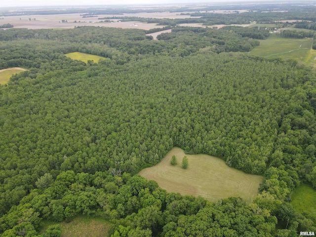 000 E 500th Ave, Watson, IL 62473
