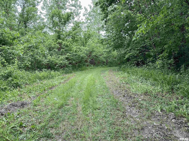 000 E 500th Ave, Watson, IL 62473