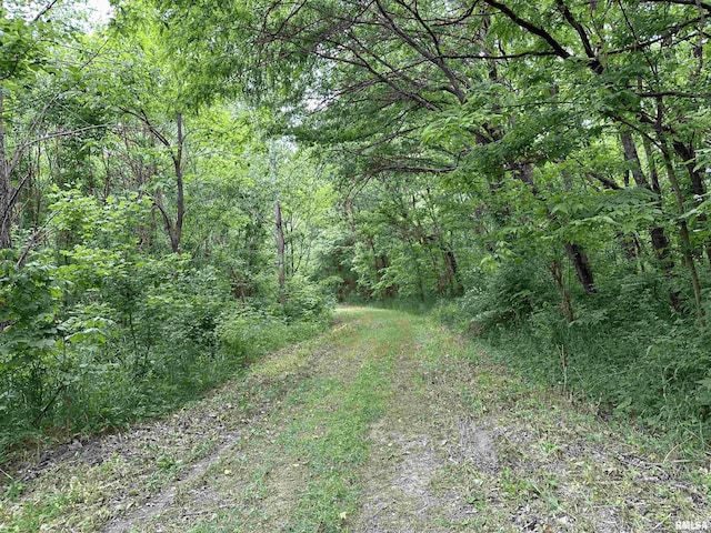 000 E 500th Ave, Watson, IL 62473