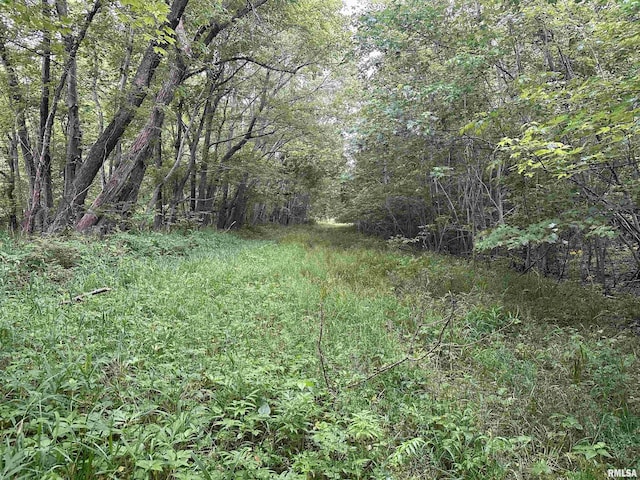 000 E 500th Ave, Watson, IL 62473
