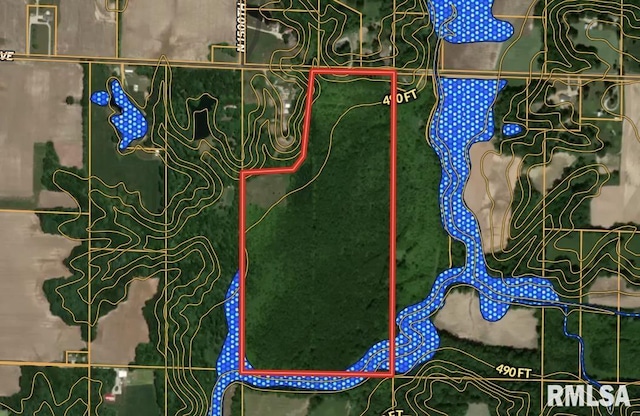 000 E 500th Ave, Watson, IL 62473