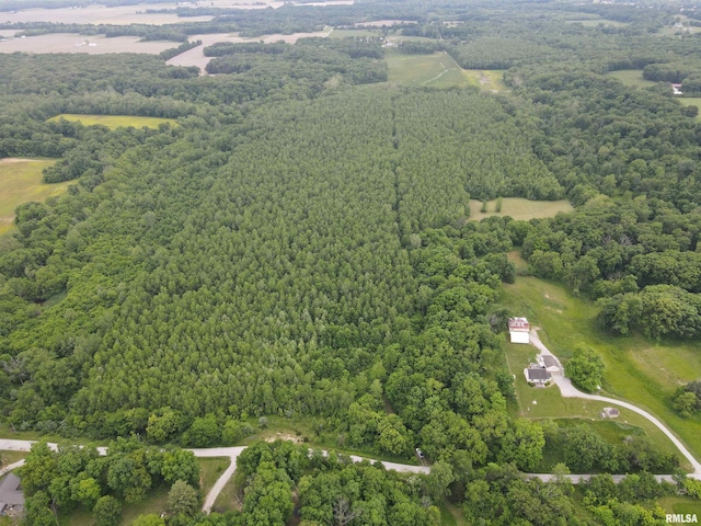 000 E 500th Ave, Watson, IL 62473