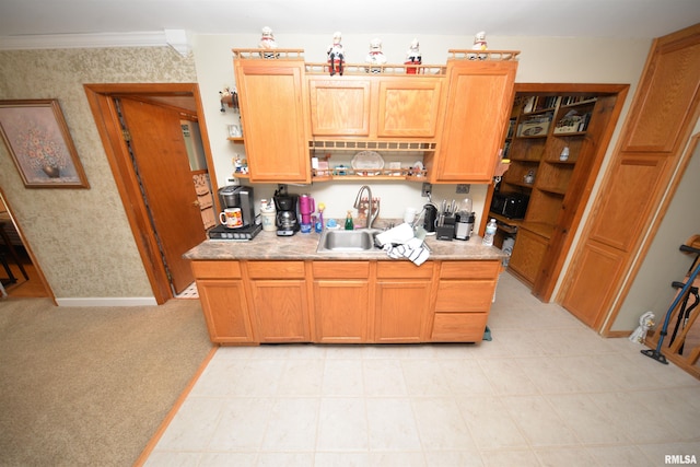 12522 N Dartmouth Ln, Mount Vernon, IL 62864 - kitchen featuring open shelves, a sink, light countertops, baseboards, and light carpet