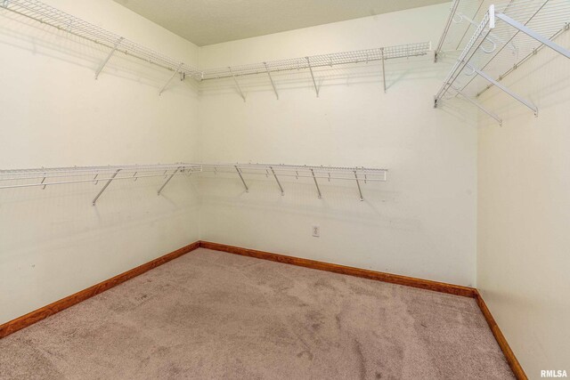 309 Evergreen Trl, Herrin, IL 62948 - photo 20