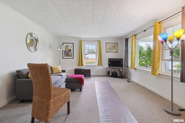 1300 S Duncan St, Marion, IL 62959 - carpeted living room featuring ornamental molding and baseboards