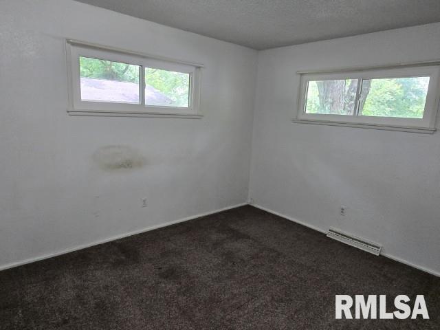 415 Marteeny St, Mount Vernon, IL 62864 - spare room with plenty of natural light, dark colored carpet, a textured ceiling, and baseboards