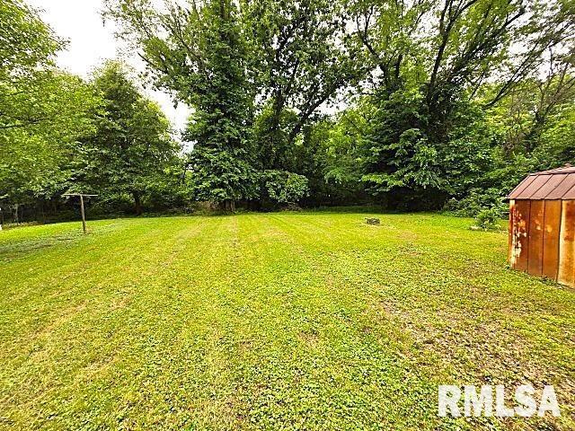 415 Marteeny St, Mount Vernon, IL 62864 - view of green lawn
