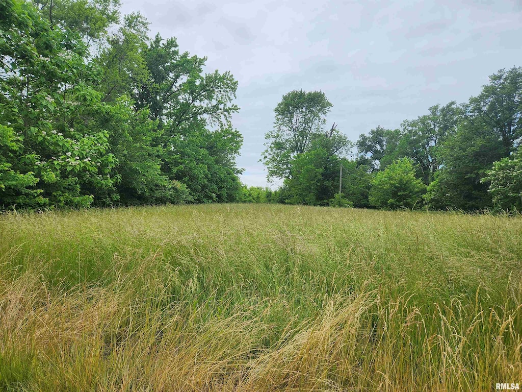 245 N Hickory St, Tamaroa, IL 62888