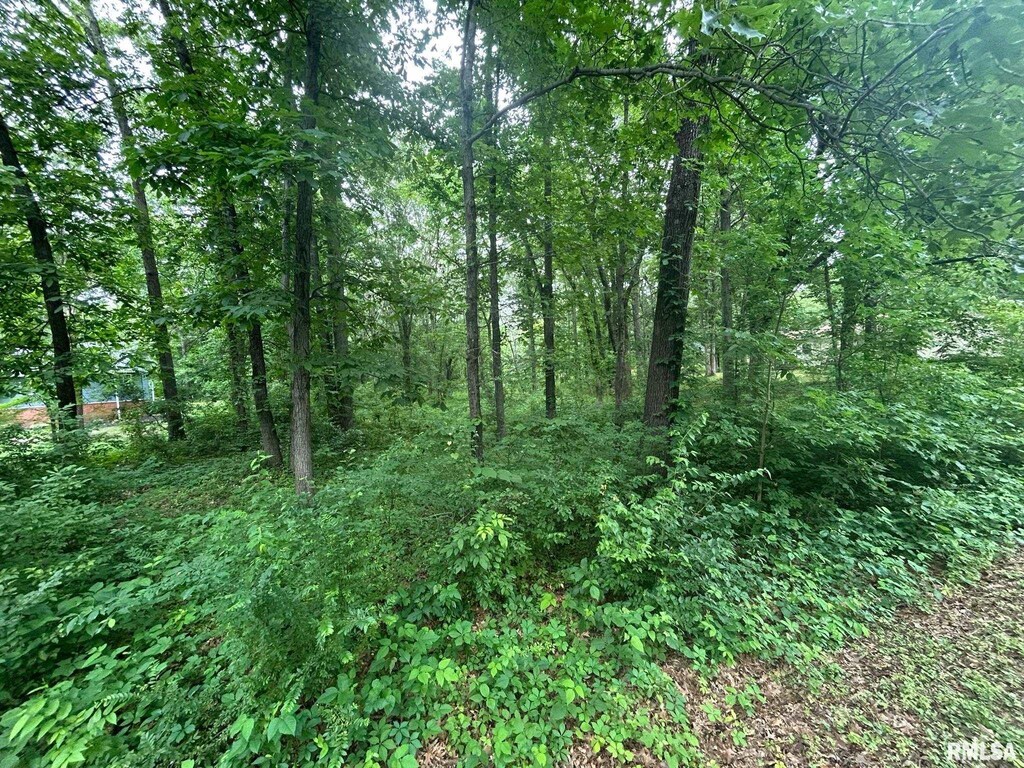 000 White Birch Ct, Benton, IL 62812 - photo 1