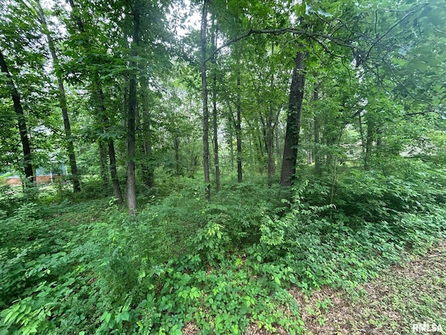000 White Birch Ct, Benton, IL 62812 - photo 1