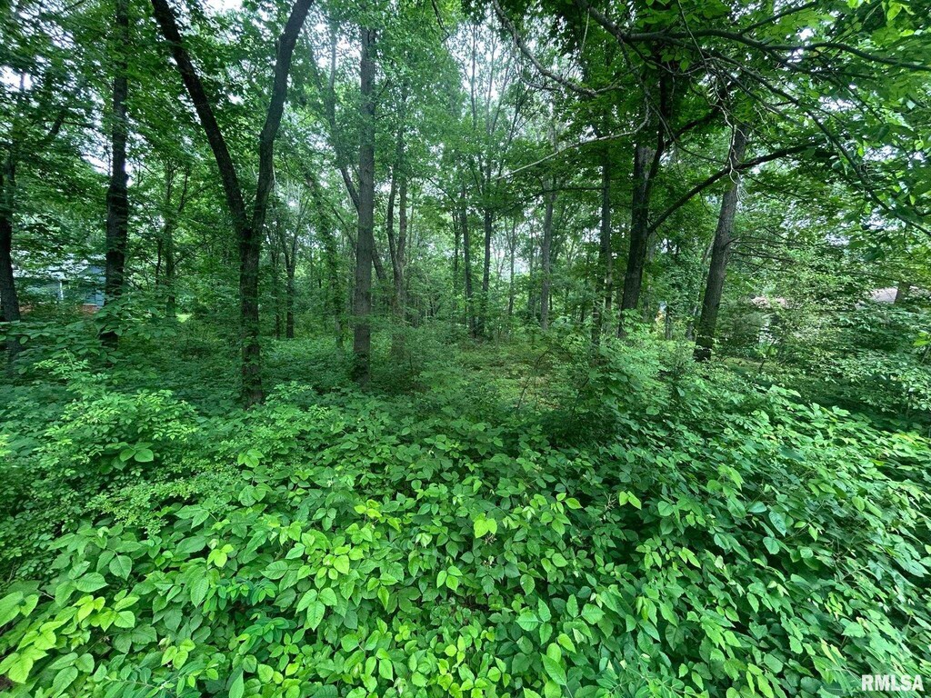 000 White Birch Ct, Benton, IL 62812 - photo 2