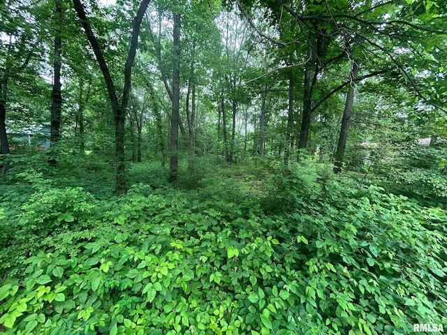 000 White Birch Ct, Benton, IL 62812 - photo 2