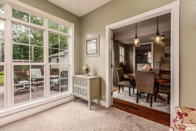 213 Texas Ave, Carterville, IL 62918 - living area with baseboards and carpet flooring