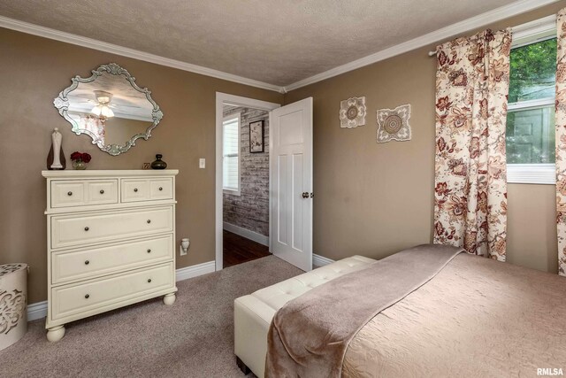 213 Texas Ave, Carterville, IL 62918 - carpeted bedroom featuring crown molding, baseboards, and a textured ceiling