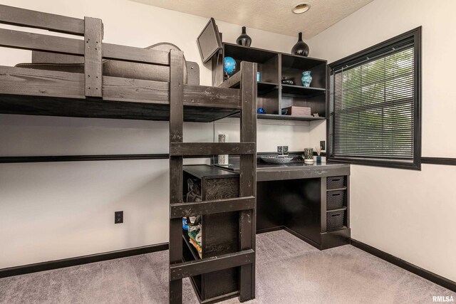213 Texas Ave, Carterville, IL 62918 - unfurnished bedroom with carpet and a textured ceiling