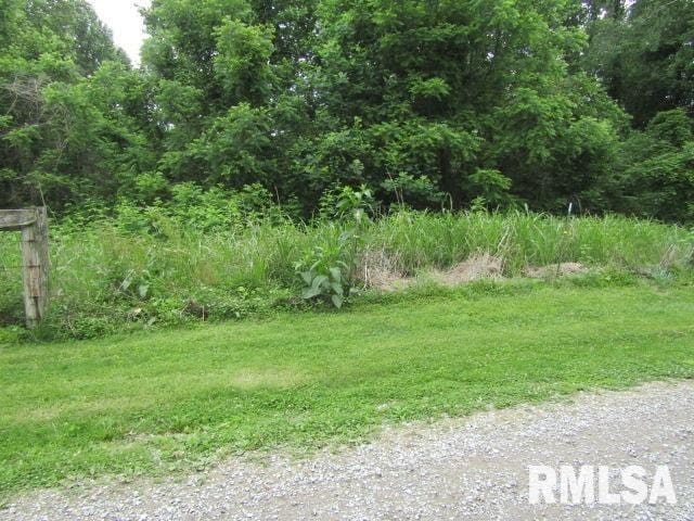 72 Shewmaker Rd, Cave In Rock, IL 62919 - photo 37