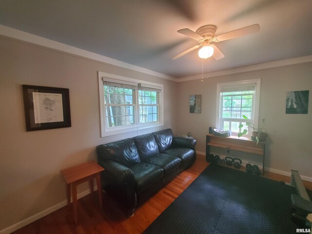 614 S Skyline Dr, Carbondale, IL 62901 - living room with wood finished floors, ceiling fan, baseboards, and ornamental molding