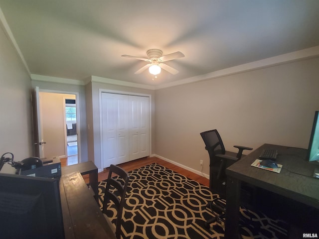 614 S Skyline Dr, Carbondale, IL 62901 - home office featuring a ceiling fan, wood finished floors, crown molding, and baseboards