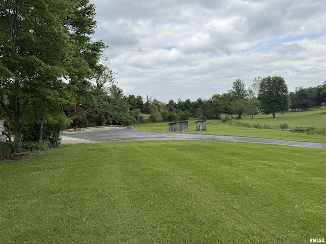15 Dunn Ln, Goreville, IL 62939 - view of green lawn with driveway